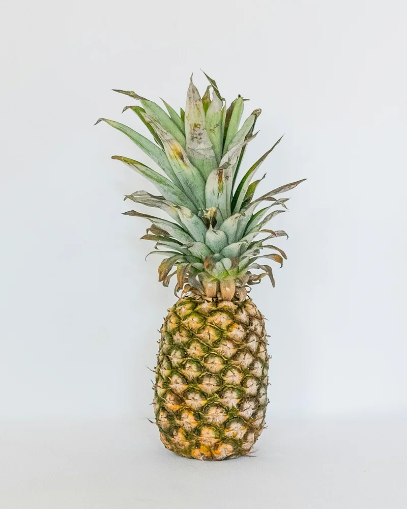 Piña - imagen de referencia